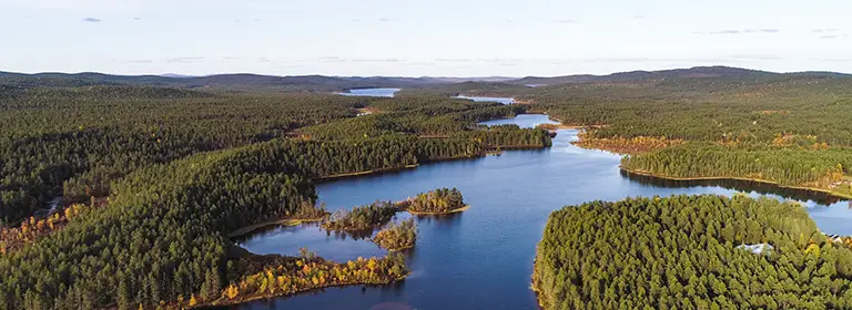 Lemmenjoen kansallispuisto kesällä