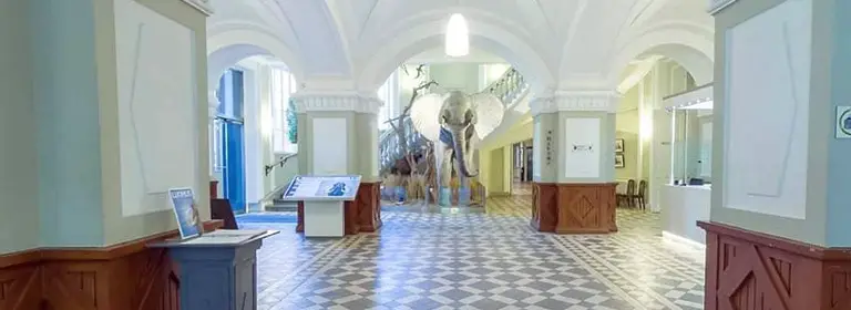 LUOMUS Luonnontieteellinen museo