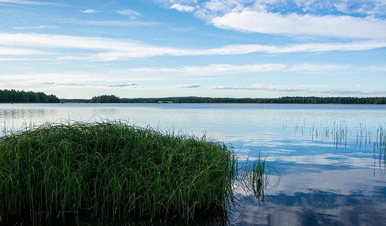 Pohjois Savo Kotimaatutuksi fi Pohjois Savo Kotimaatutuksi fi